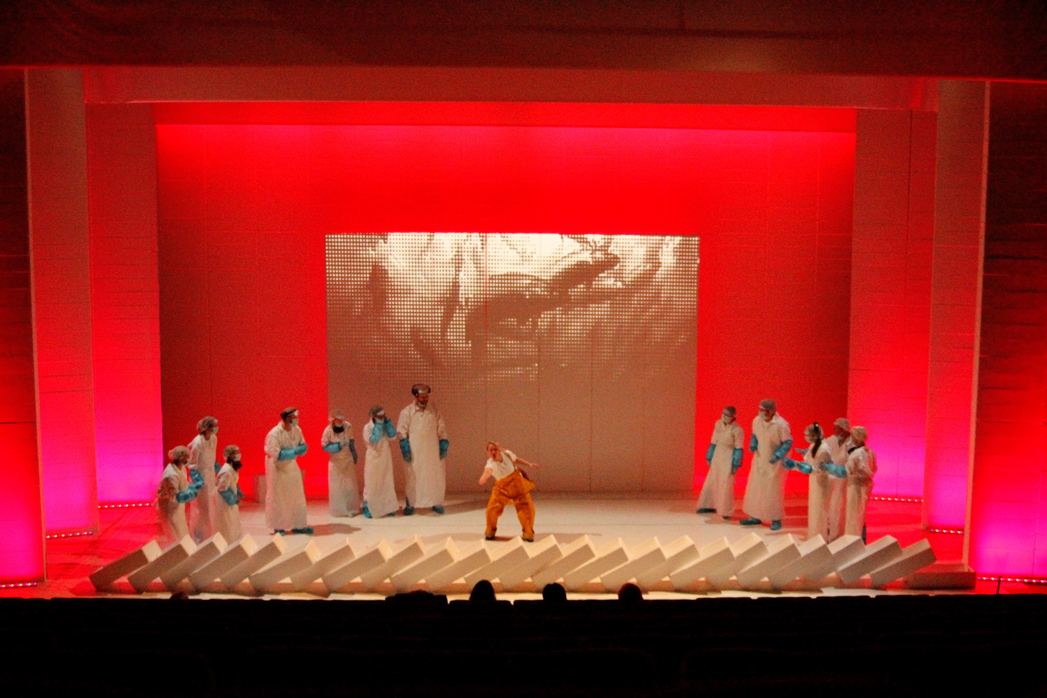 12401764_10156299258095411_8186048432705076507_o