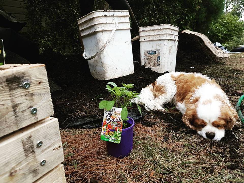 26904196_10156305173791833_2846022832535417635_n