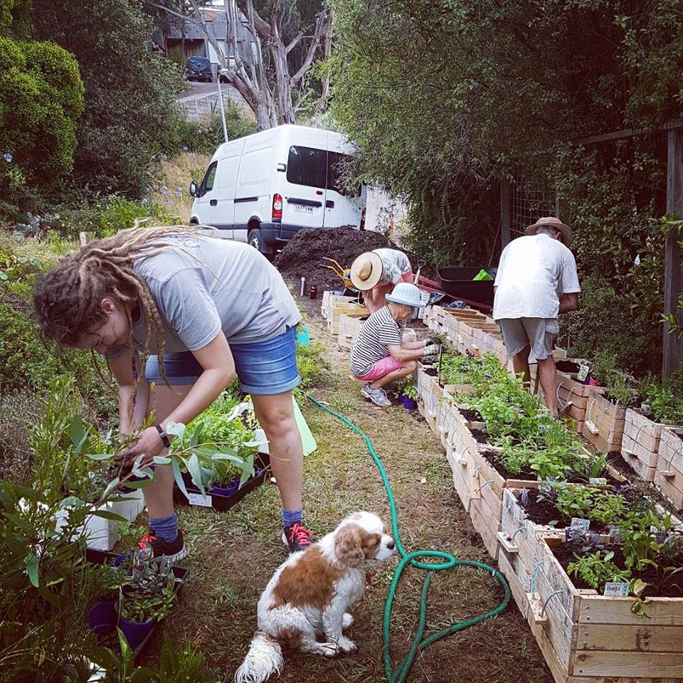 27072903_10156305866841833_7280562264386017950_n