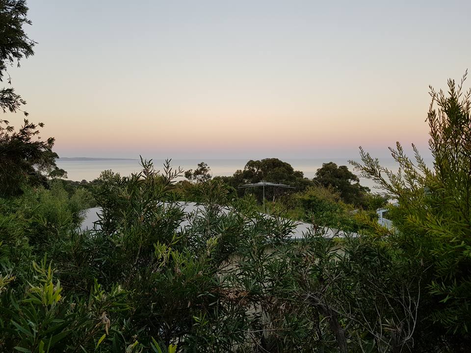 28783400_10156449114241833_2190674368227824009_n